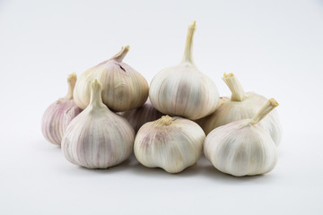 Garlic