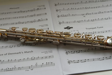 Obraz premium FLAUTA TRAVESERA