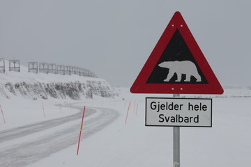 Warnschild Eisbär Spitzbergen
