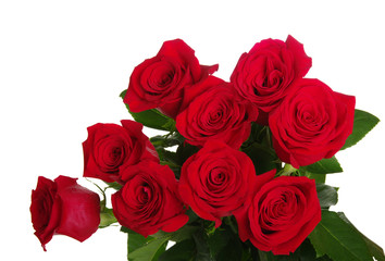 Red roses bouquet