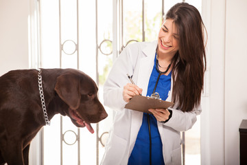 Updating a dog's medical history