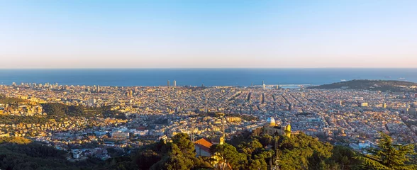 Foto op Canvas Panorama van Barcelona © elxeneize
