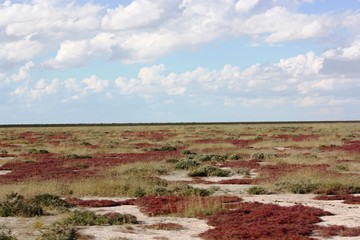 Etosha Nationalpark - Salzpfanne - Namibia