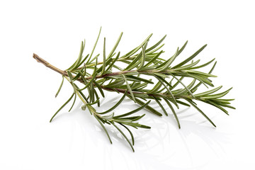 Fototapeta premium Rosemary.