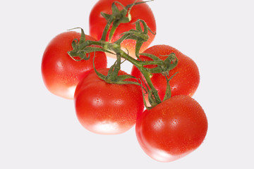 tomatoes
