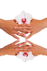 manicure and beauty background