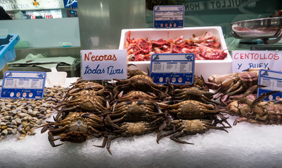 fresh fish at the fish market in Valencia,Spain