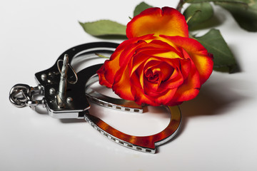 Handschellen mit einer Rose