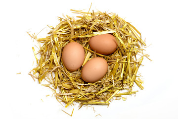 three eggs in a nest of golden straw  isolated on white backgrou