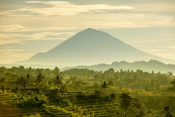 Photo sur Plexiglas Indonésie Rizières en terrasses de Bali