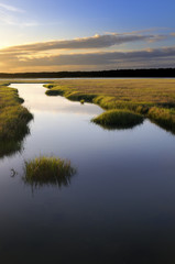 Obraz na płótnie Canvas Coastal Salt Marsh at Sunrise