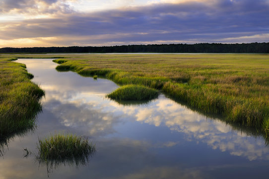 Clouds Reflecting in Water