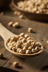 Raw Organic Garbanzo Beans