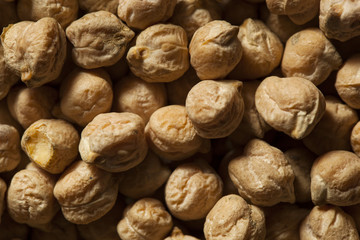 Raw Organic Garbanzo Beans