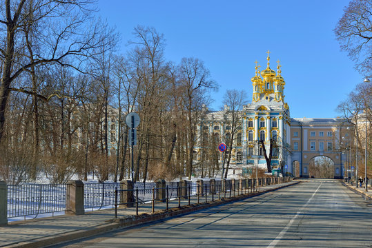 Winter landscape with Catherine palace