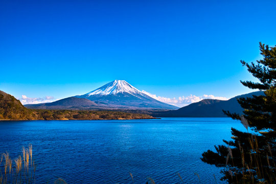 富士山と本栖湖