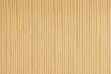 イエローパインの板