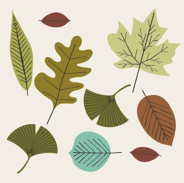 leaves2