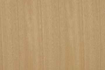 Naklejka premium センの板