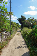 沖縄県　黒島の道