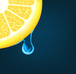 Flowing down drop on an lemon segment. Vector