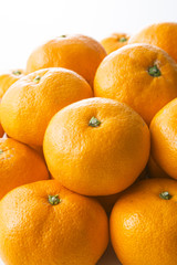 みかん　イメージ　Mandarin orange　Mikan