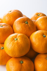 みかん　イメージ　Mandarin orange　Mikan