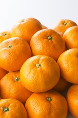 みかん　イメージ　Mandarin orange　Mikan