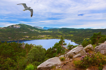 Fototapeta premium Mountains on the way to the Cliff Preikestolen in fjord Lysefjor