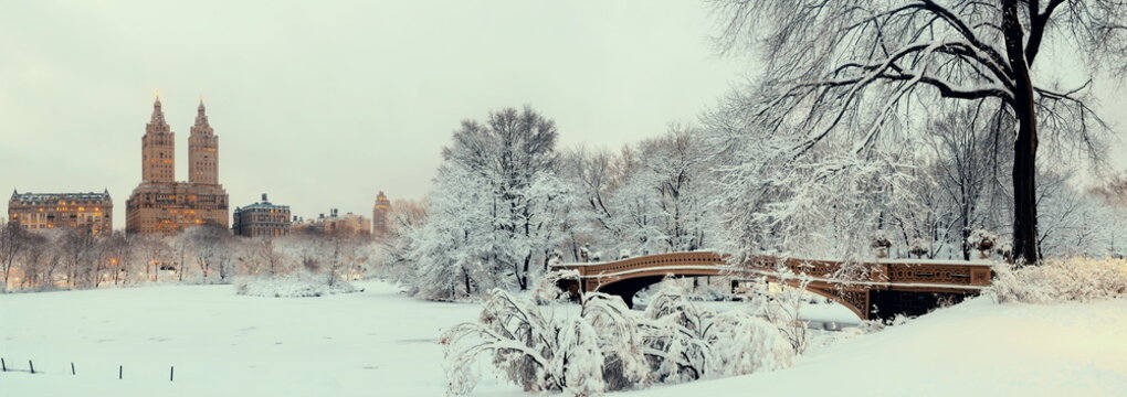 Central Park Winter