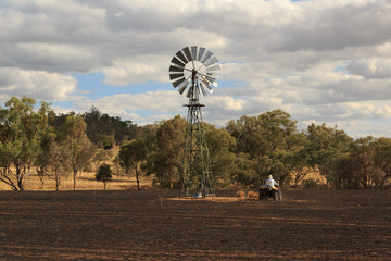 Bushfire Aftermath