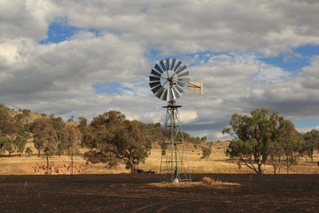 Bushfire Aftermath