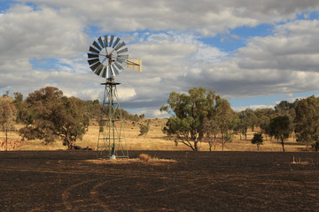 Bushfire Aftermath