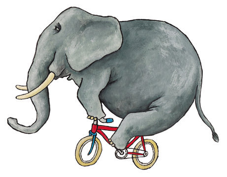 Illustration made with acrylic of an elephant riding a bicycle