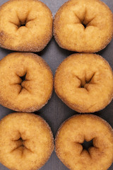 Fresh baked assorted donuts
