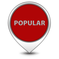 Popular pointer icon on white background