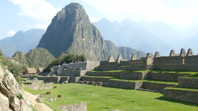 Machu Picchu ruins courtyard lama