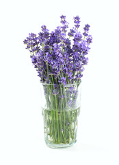 Fototapeta premium lavender in a glass isolated on white