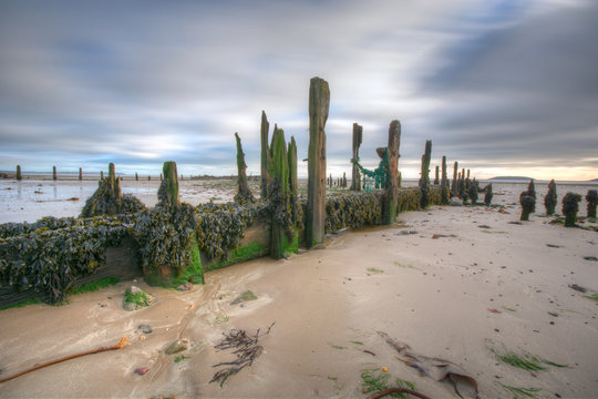 Groaned at low tide 1