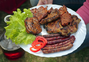 Fragment of grill party.