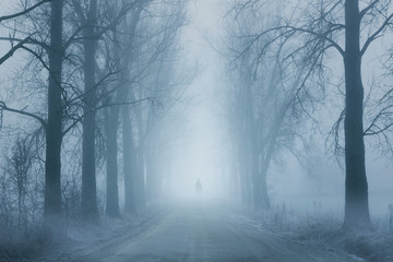 Silhouette of a man on the foggy road