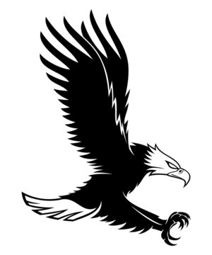 Vector sign. White eagle.