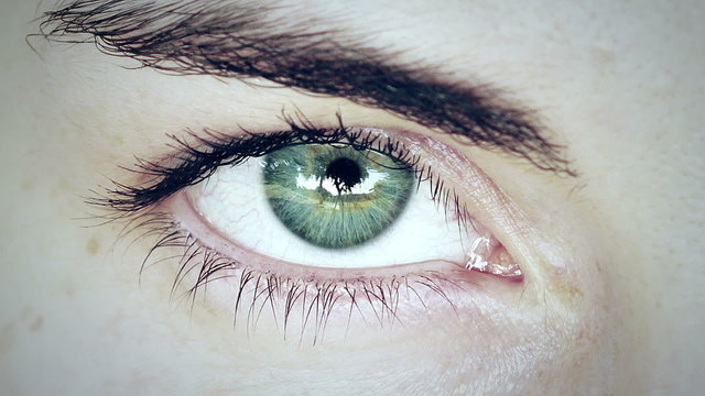 Close up of beautiful green woman's eye