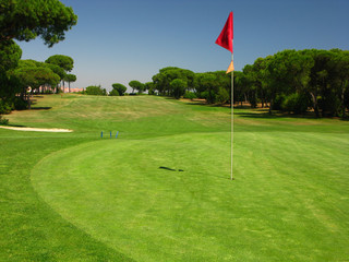 Obraz premium HOYO GOLF