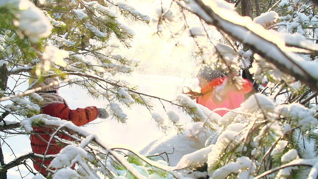Snowdust