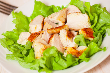 fresh salad with chicken breast