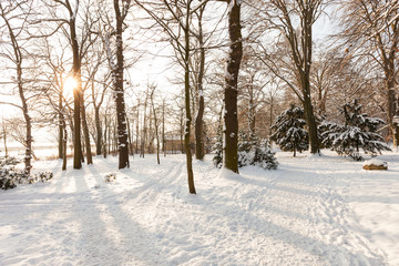Parklandschaft im Winter