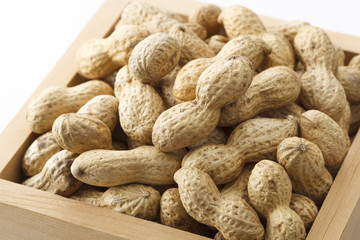 落花生　節分　peanut