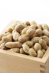 落花生　節分　peanut