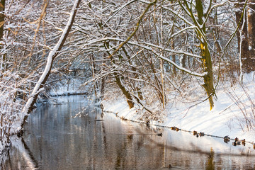 Parklandschaft im Winter